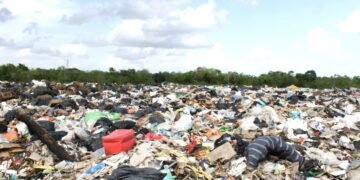 Requiere Costa Maya 140 millones de pesos para sanear basurero a cielo abierto