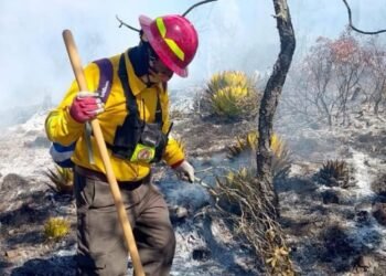 Incendio amenaza la llegada de Monarcas a su santuario en la sierra de Tamaulipas