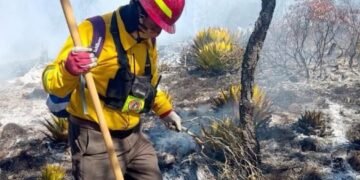 Incendio amenaza la llegada de Monarcas a su santuario en la sierra de Tamaulipas