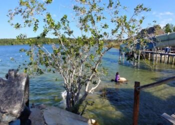 Riesgo ambiental crece en Dziuché por desechos de granjas porcinas