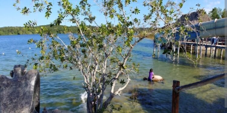 Riesgo ambiental crece en Dziuché por desechos de granjas porcinas