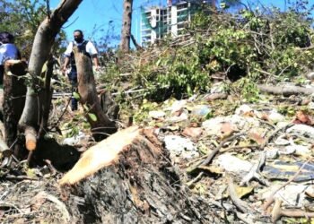 Endurecen castigos contra delitos ambientales, hasta nueve años de cárcel a quien los cometa