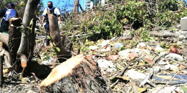 Endurecen castigos contra delitos ambientales, hasta nueve años de cárcel a quien los cometa