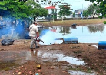 Quintana Roo alcanza quinto lugar nacional en dengue, llaman a tirar cacharros