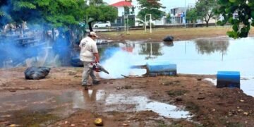 Quintana Roo alcanza quinto lugar nacional en dengue, llaman a tirar cacharros