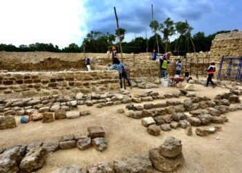 Arqueólogos del INAH denunciarán a sus directivos por destrucción de patrimonio cultural en obras del Tren Maya