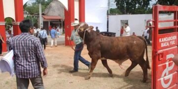 Autoridad advierte: no habrá tolerancia al maltrato animal en la Expomor 2026