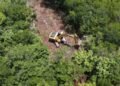 Selva Maya bajo presión: activan “freno legal” contra la deforestación