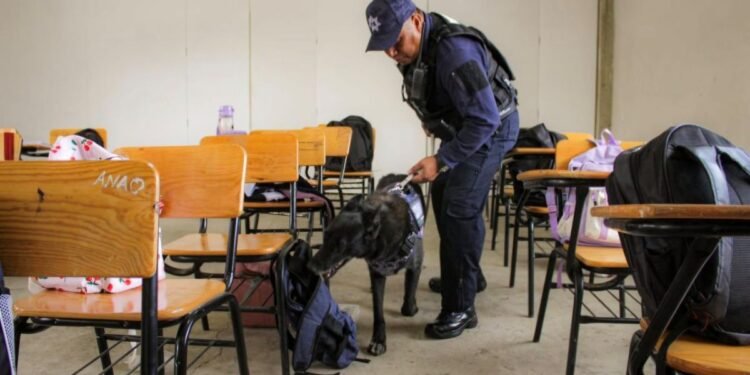 Operativo Mochila podría volver… para toda la escuela; exigen se aplique a alumnos y maestros