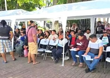 No habrá prórroga para canje de placas, quedan dos días para el trámite
