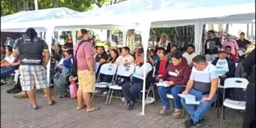 No habrá prórroga para canje de placas, quedan dos días para el trámite