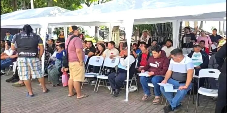 No habrá prórroga para canje de placas, quedan dos días para el trámite