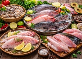 Pescados por menos de 110 pesos en Cuaresma: Profeco revela opciones económicas para las familias