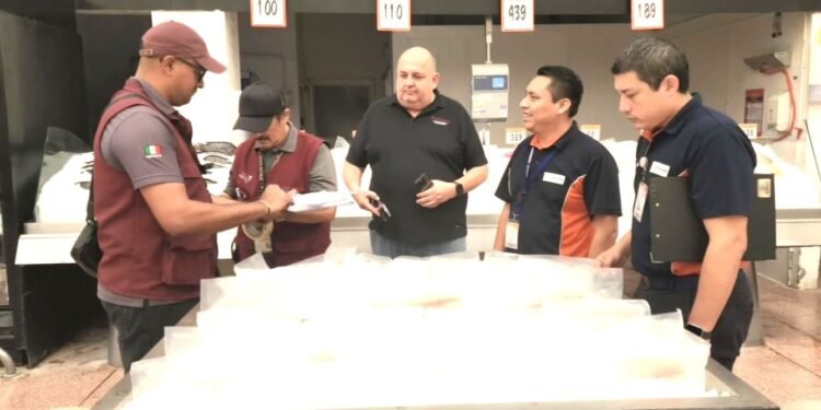 Refuerza Profeco vigilancia en Chetumal ante temporada vacacional y Mundial de Fútbol