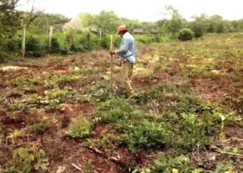 Productores de José María Morelos solicitan rehabilitación de pozos ante próxima sequía