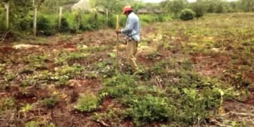 Productores de José María Morelos solicitan rehabilitación de pozos ante próxima sequía