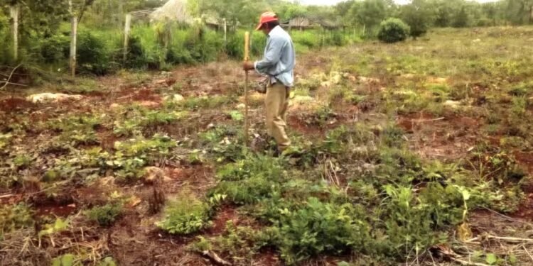 Productores de José María Morelos solicitan rehabilitación de pozos ante próxima sequía