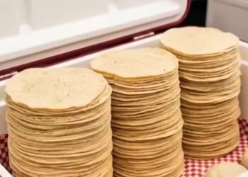 Van por revendedores de tortillas en Quintana Roo; Cofepris advierte decomisos y multas