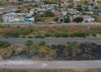 Dos grandes rutas y 47 trenes así será el nuevo Tren del Norte