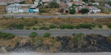 Dos grandes rutas y 47 trenes así será el nuevo Tren del Norte