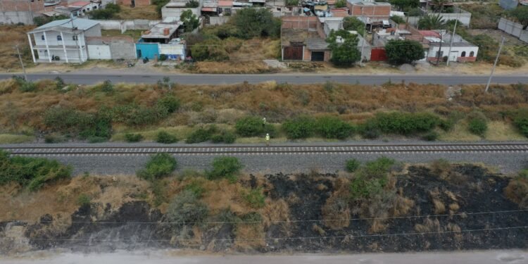 Dos grandes rutas y 47 trenes así será el nuevo Tren del Norte