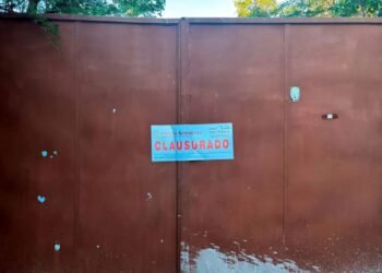 Perfect Day gana un round, jueza ordena levantar la clausura de Profepa en predio del proyecto