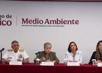 Marina atribuye derrame en el Golfo de México a un vertimiento ilegal y a chapopoteras naturales