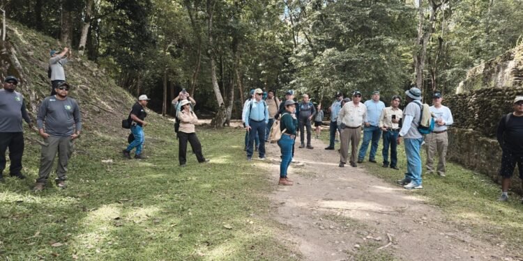 Impulsan estrategia trinacional para proteger la biodiversidad de la Gran Selva Maya