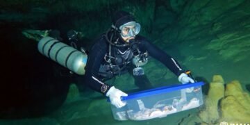 Traslada INAH a la CDMX fósil humano encontrado en ríos subterráneos de Tulum