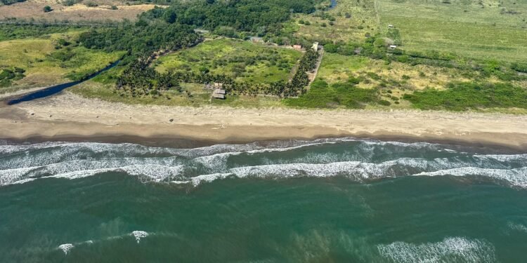 Playas de Veracruz y Tabasco entran en fase final de limpieza tras presencia de petróleo