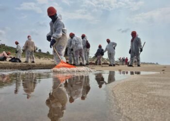 Despliegue interinstitucional de 3 mil elementos refuerza limpieza por hidrocarburos en el Golfo