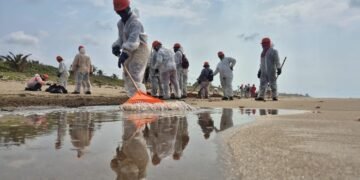 Despliegue interinstitucional de 3 mil elementos refuerza limpieza por hidrocarburos en el Golfo