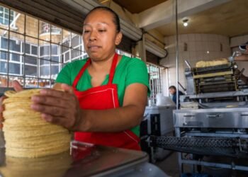 Evita que te agarren en curva; sondeos de Profeco confirman, tortilla mantiene precio estable