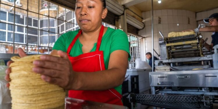Evita que te agarren en curva; sondeos de Profeco confirman, tortilla mantiene precio estable