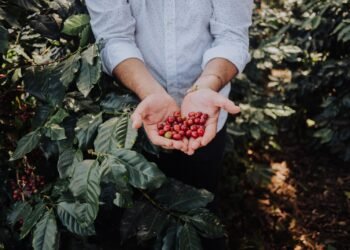 De tradición a tecnología: CAFFENIO celebra 85 años con fuerte crecimiento en México
