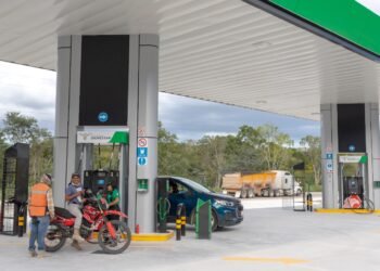 Gasolina, diésel estables y luz más barata dan respiro al bolsillo en abril