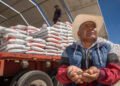 Fertilizantes gratis en 20 estados: dónde, cuándo y quiénes los recibirán