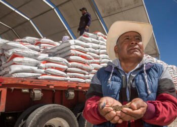 Fertilizantes gratis en 20 estados: dónde, cuándo y quiénes los recibirán