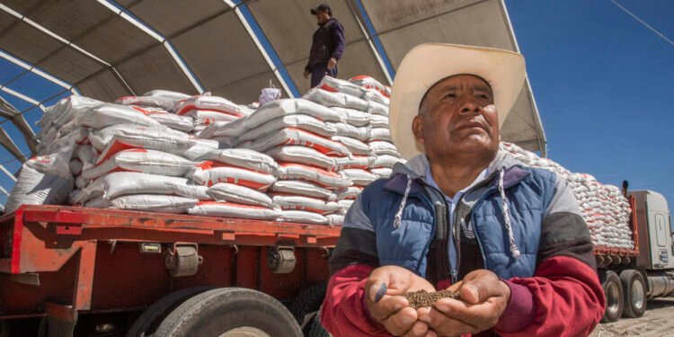 Fertilizantes gratis en 20 estados: dónde, cuándo y quiénes los recibirán
