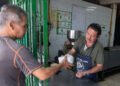Tortilla en México se mantiene estable, aseguran autoridades y sector