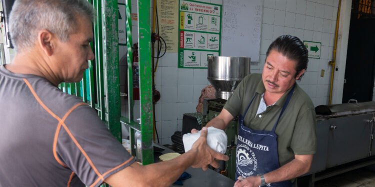Tortilla en México se mantiene estable, aseguran autoridades y sector