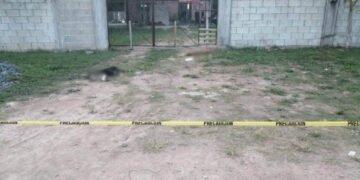 Captan en video a sospechosos de envenenar a lomitos, estos son los detalles que sabemos