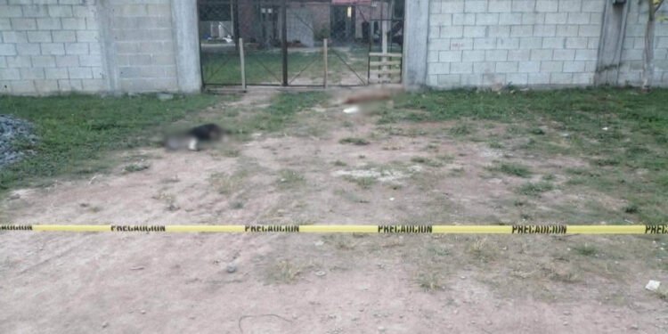 Captan en video a sospechosos de envenenar a lomitos, estos son los detalles que sabemos