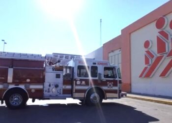 Contraatacan las abejas en Plaza Las Américas