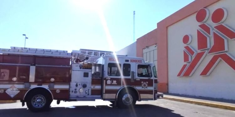 Contraatacan las abejas en Plaza Las Américas
