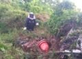 Suman tres ataques de abejas en abril, mueren perros y gallinas en La Unión