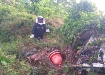 Suman tres ataques de abejas en abril, mueren perros y gallinas en La Unión