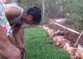 Ciudades de Quintana Roo aprietan el gasto: comer sigue siendo un reto diario