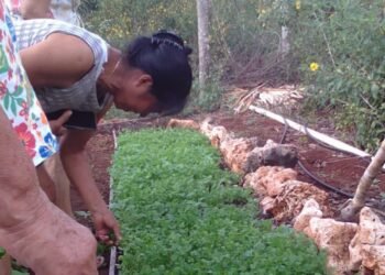 Ciudades de Quintana Roo aprietan el gasto: comer sigue siendo un reto diario