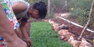 Ciudades de Quintana Roo aprietan el gasto: comer sigue siendo un reto diario